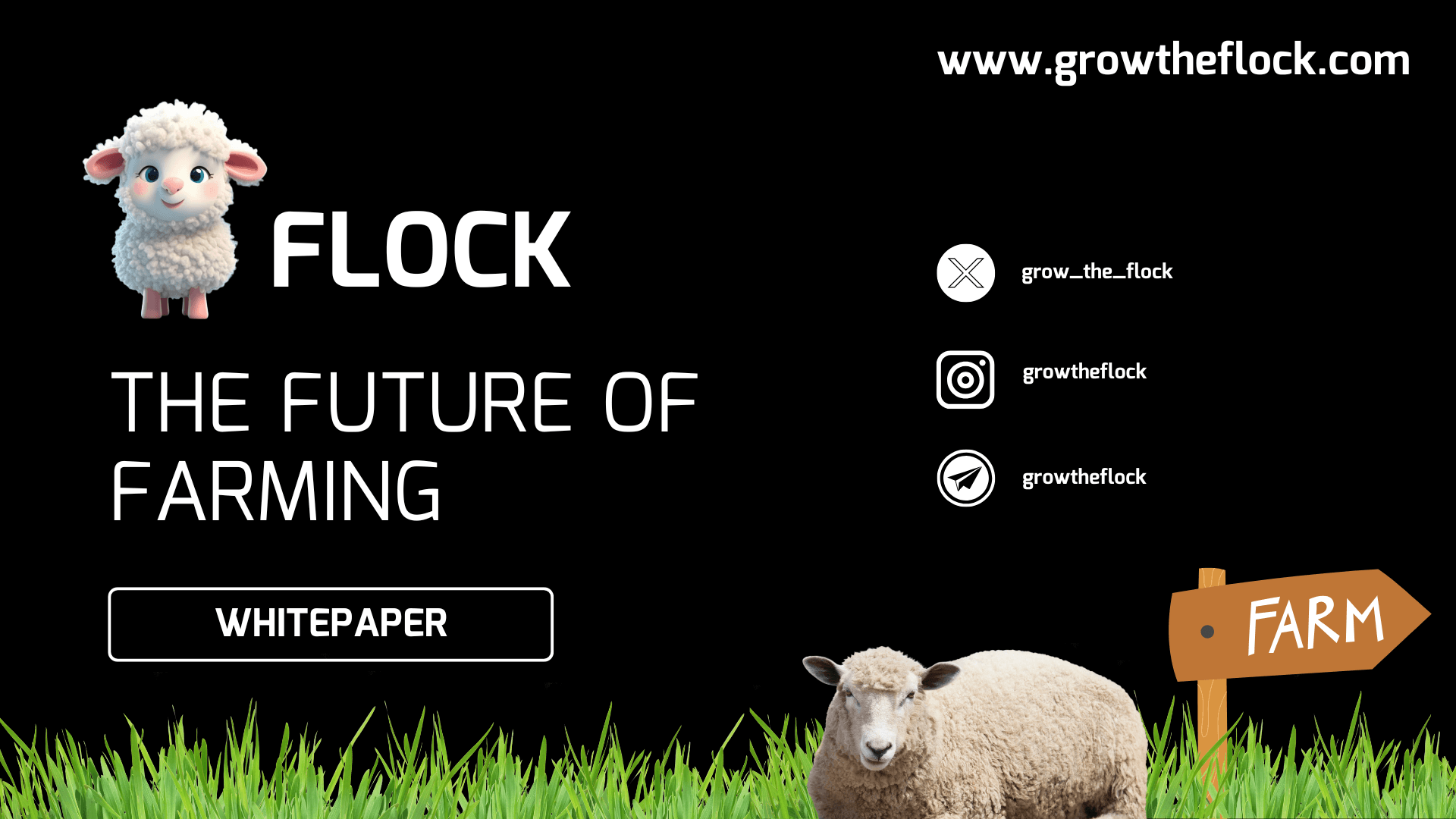 whitepaper